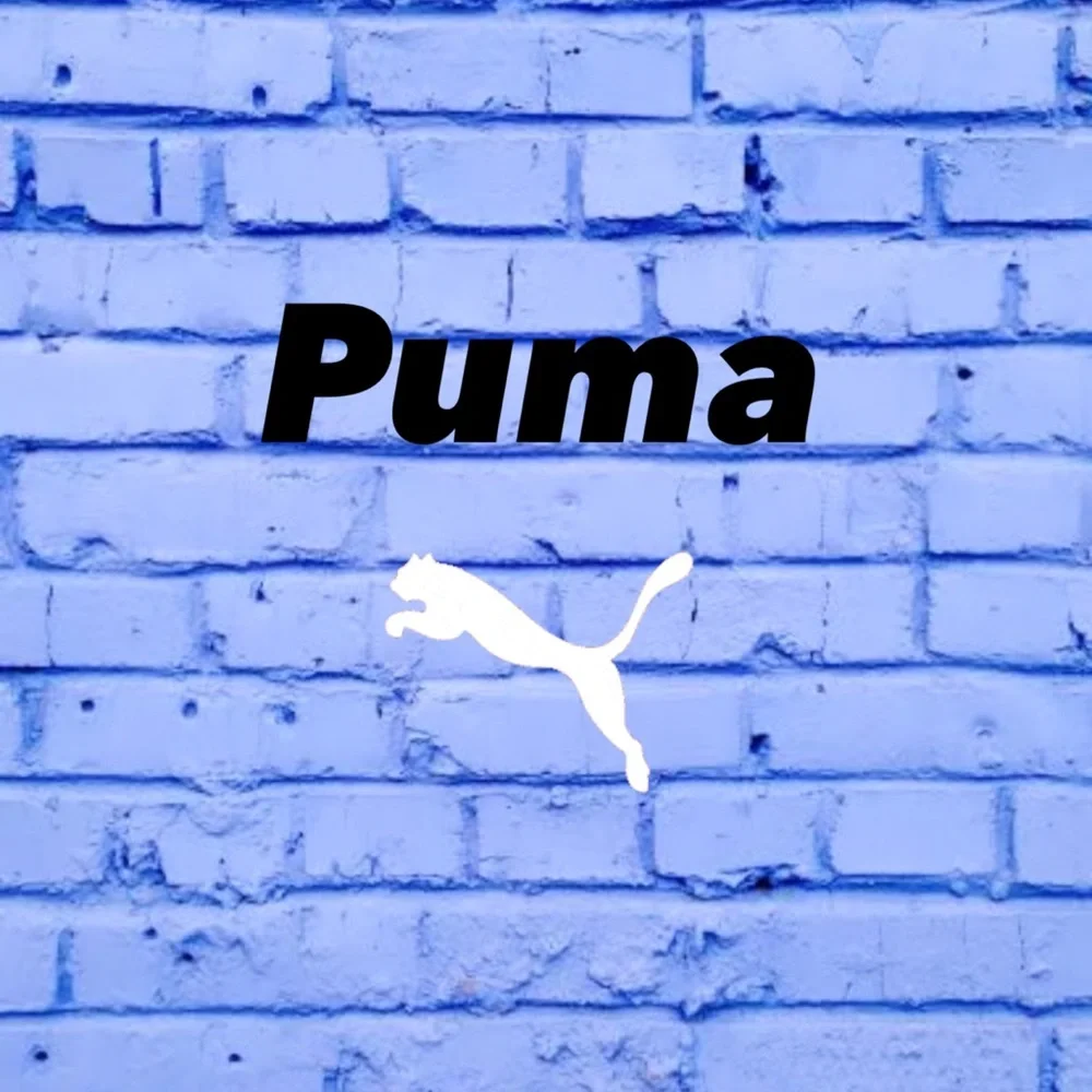 Puma - Picture 1 of 1